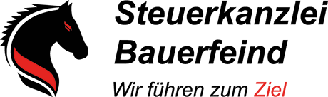 SEO-Referenz-Steuerkanzlei-Bauerfeind